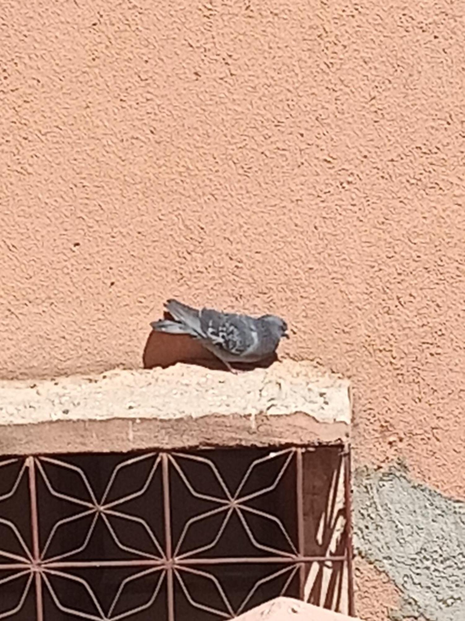 Guiliz Appartement Marakéš Exteriér fotografie